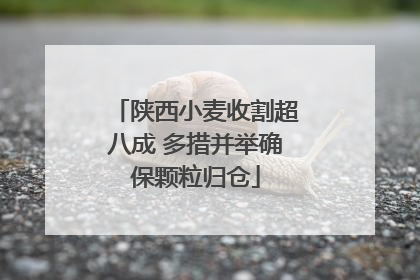 陕西小麦收割超八成 多措并举确保颗粒归仓