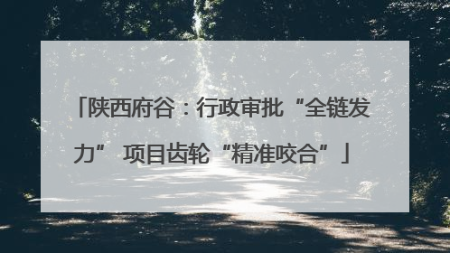 陕西府谷：行政审批“全链发力” 项目齿轮“精准咬合”