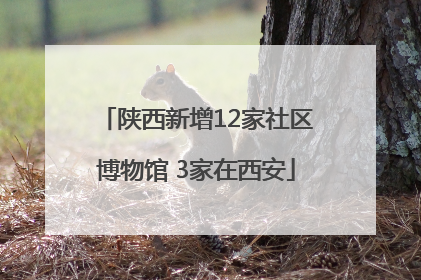 陕西新增12家社区博物馆 3家在西安