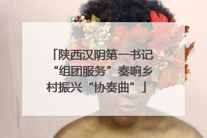 陕西汉阴第一书记“组团服务”奏响乡村振兴“协奏曲”