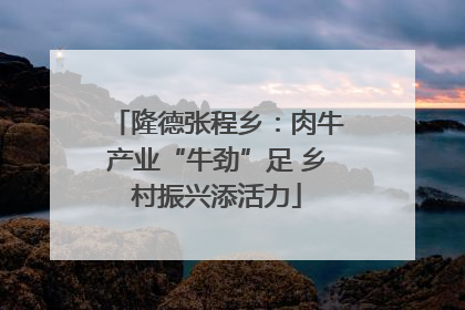 隆德张程乡：肉牛产业“牛劲”足 乡村振兴添活力