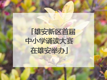 雄安新区首届中小学诵读大赛在雄安举办