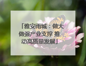 雅安雨城：做大做强产业支撑 推动高质量发展