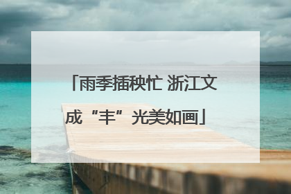 雨季插秧忙 浙江文成“丰”光美如画