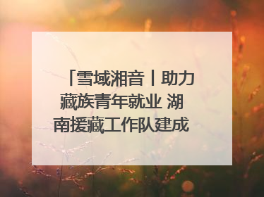 雪域湘音丨助力藏族青年就业 湖南援藏工作队建成西藏首个清洁能源装备园