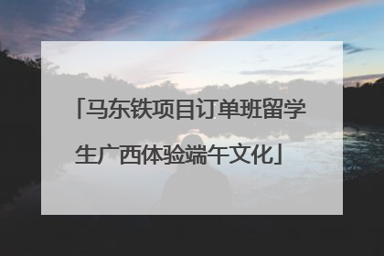 马东铁项目订单班留学生广西体验端午文化