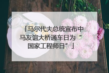 马尔代夫总统宣布中马友谊大桥通车日为“国家工程师日”