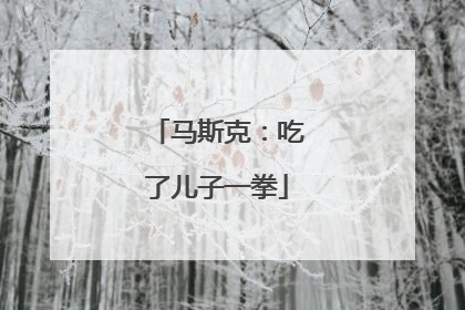 马斯克：吃了儿子一拳
