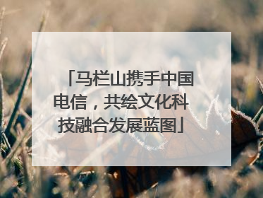 马栏山携手中国电信，共绘文化科技融合发展蓝图