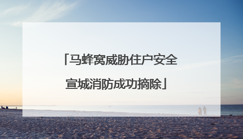 马蜂窝威胁住户安全 宣城消防成功摘除