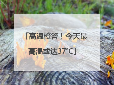 高温橙警！今天最高温或达37℃