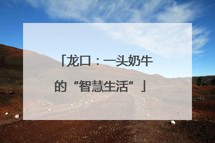龙口：一头奶牛的“智慧生活”