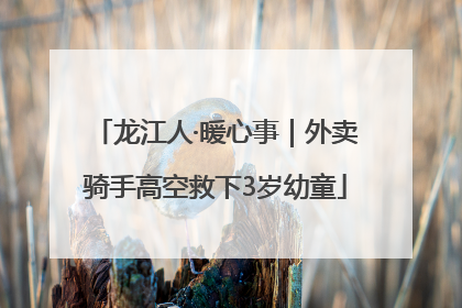 龙江人·暖心事｜外卖骑手高空救下3岁幼童
