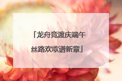 龙舟竞渡庆端午 丝路欢歌谱新章