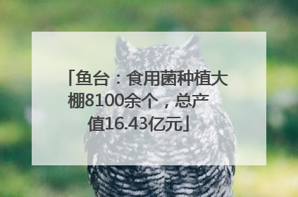 鱼台：食用菌种植大棚8100余个，总产值16.43亿元