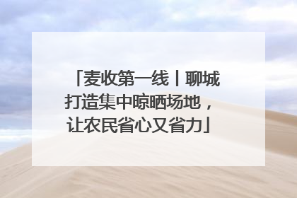 麦收第一线丨聊城打造集中晾晒场地，让农民省心又省力