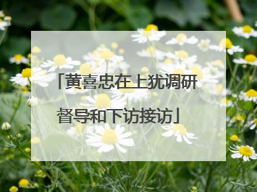 黄喜忠在上犹调研督导和下访接访