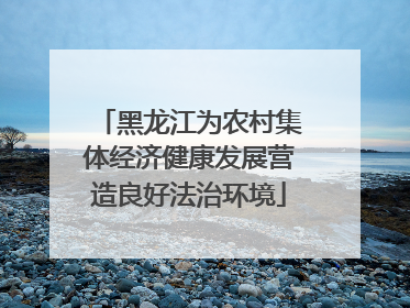 黑龙江为农村集体经济健康发展营造良好法治环境