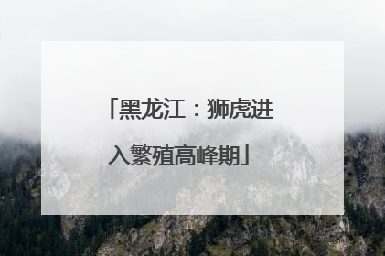 黑龙江：狮虎进入繁殖高峰期