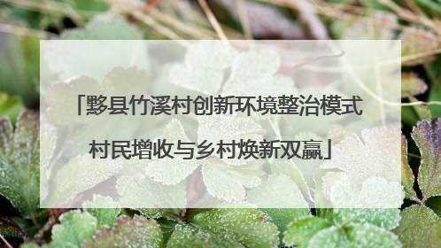 黟县竹溪村创新环境整治模式 村民增收与乡村焕新双赢