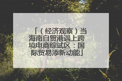 （经济观察）当海南自贸港遇上跨境电商综试区：国际贸易添新动能