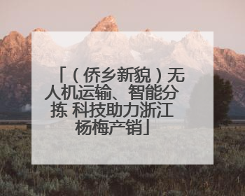 （侨乡新貌）无人机运输、智能分拣 科技助力浙江杨梅产销
