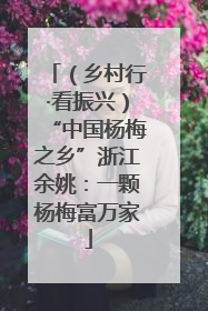 （乡村行·看振兴）“中国杨梅之乡”浙江余姚：一颗杨梅富万家