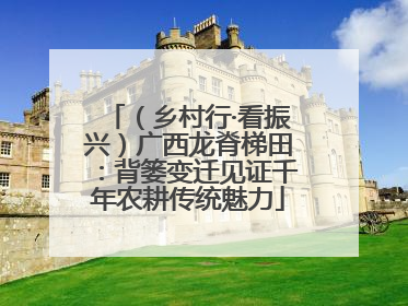 （乡村行·看振兴）广西龙脊梯田：背篓变迁见证千年农耕传统魅力