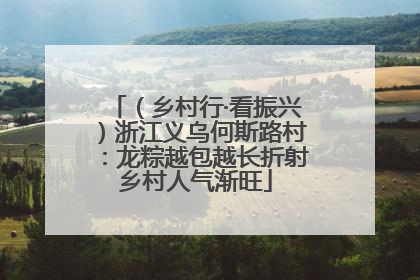 （乡村行·看振兴）浙江义乌何斯路村：龙粽越包越长折射乡村人气渐旺