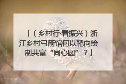 （乡村行·看振兴）浙江乡村弓箭馆何以靶向绘制共富“同心圆”？