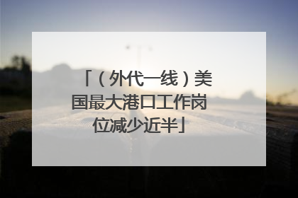 （外代一线）美国最大港口工作岗位减少近半