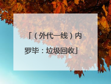 （外代一线）内罗毕：垃圾回收