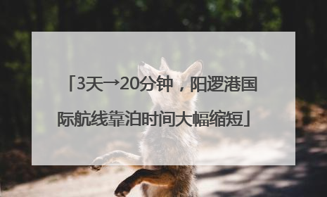 3天→20分钟，阳逻港国际航线靠泊时间大幅缩短