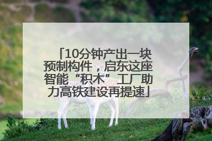 10分钟产出一块预制构件，启东这座智能“积木”工厂助力高铁建设再提速