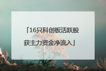 16只科创板活跃股获主力资金净流入
