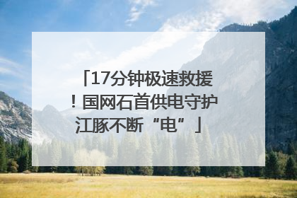 17分钟极速救援！国网石首供电守护江豚不断“电”