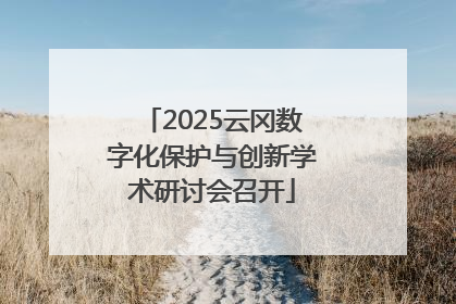 2025云冈数字化保护与创新学术研讨会召开