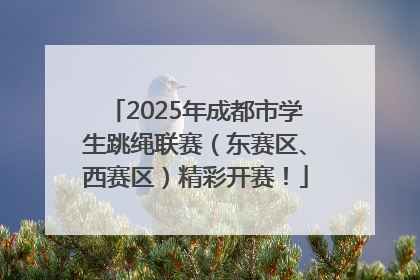 2025年成都市学生跳绳联赛（东赛区、西赛区）精彩开赛！