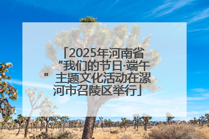 2025年河南省“我们的节日·端午”主题文化活动在漯河市召陵区举行