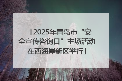 2025年青岛市“安全宣传咨询日”主场活动在西海岸新区举行