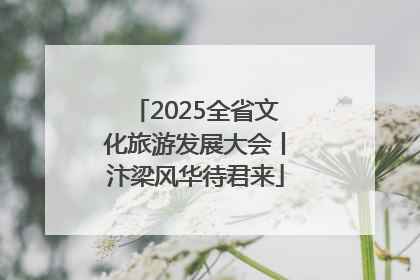 2025全省文化旅游发展大会丨汴梁风华待君来