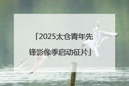 2025太仓青年先锋影像季启动征片