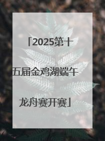 2025第十五届金鸡湖端午龙舟赛开赛