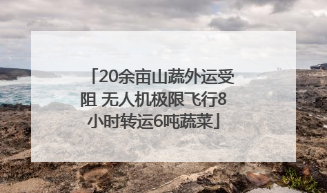 20余亩山蔬外运受阻 无人机极限飞行8小时转运6吨蔬菜
