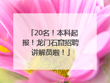 20名！本科起报！龙门石窟招聘讲解员啦！