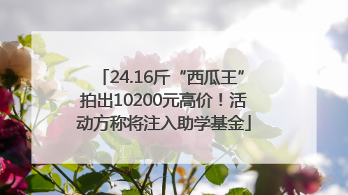 24.16斤“西瓜王”拍出10200元高价！活动方称将注入助学基金