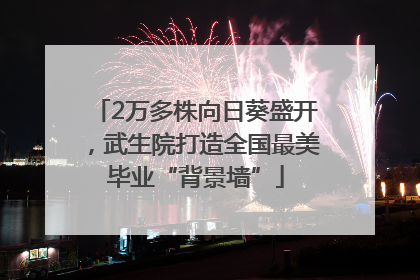 2万多株向日葵盛开，武生院打造全国最美毕业“背景墙”