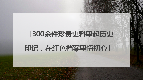 300余件珍贵史料串起历史印记，在红色档案里悟初心