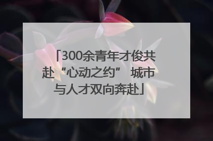 300余青年才俊共赴“心动之约” 城市与人才双向奔赴