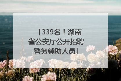 339名！湖南省公安厅公开招聘警务辅助人员